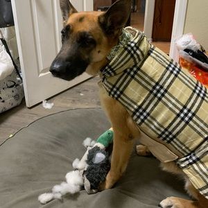 Yellow plaid dog sweater